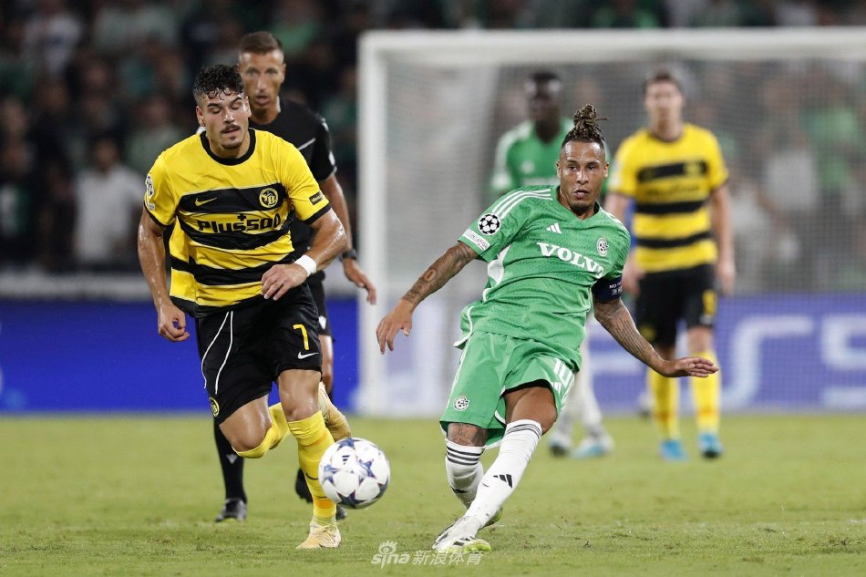 场的精细化 场的精细化